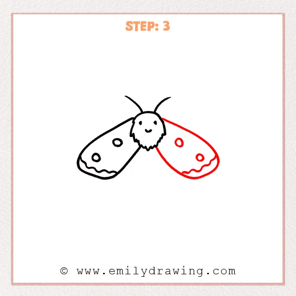 how to draw a luna moth - Step 3